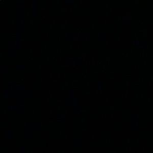 Meet your Posher, Vicky